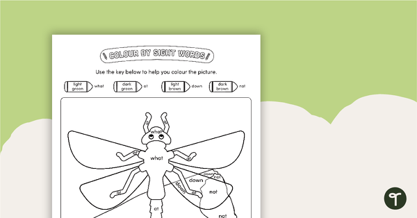 Go to Colour by Sight Words - 4 Words - Dragonfly teaching resource