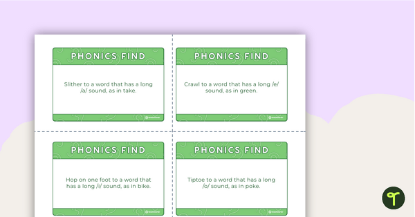 Phonics Find Description Cards teaching resource