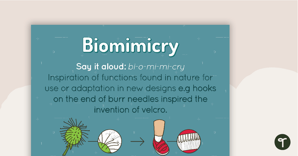 Biomimicry Poster teaching resource