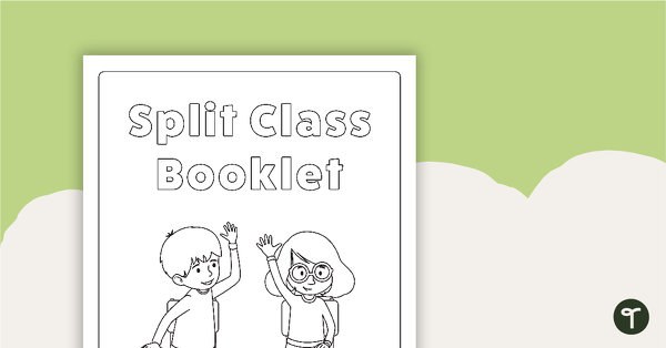 Split Class/Fast Finisher Booklet - Lower Years teaching resource