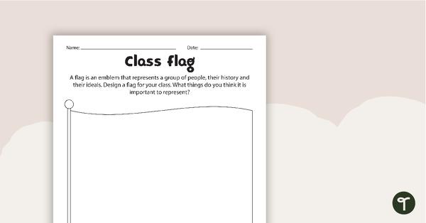 Class Flag Activity Worksheet teaching resource