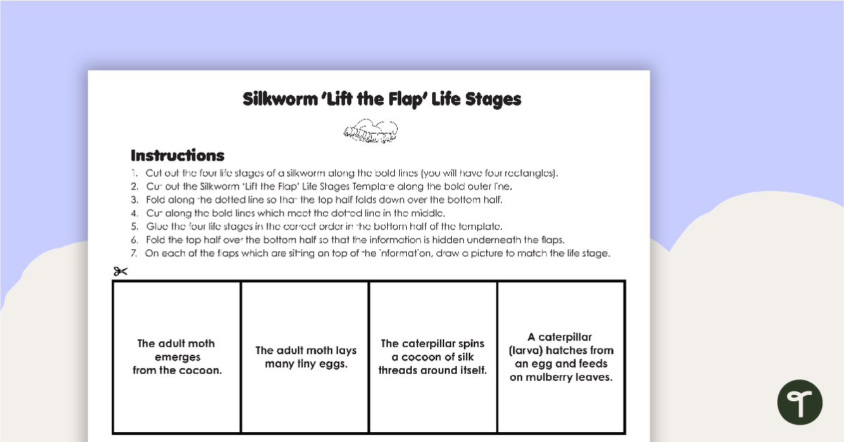 Silkworm 'Lift the Flap' Life Stages Template teaching resource