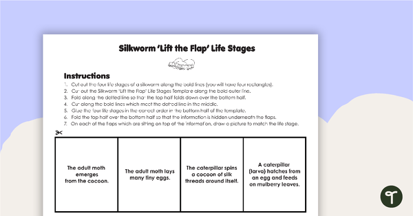 Go to Silkworm 'Lift the Flap' Life Stages Template teaching resource
