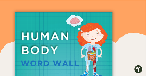 Cardiovascular System Word Wall Vocabulary teaching resource