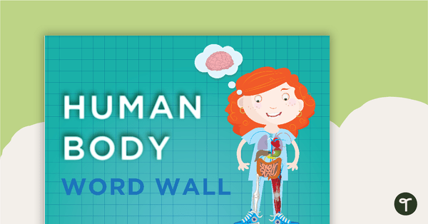 Go to Respiratory System Word Wall Vocabulary teaching resource