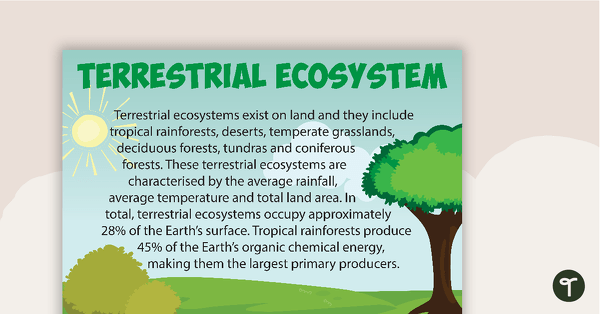 Go to Terrestrial Ecosystems Poster teaching resource