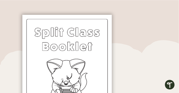 Split Class/Fast Finisher Booklet Front Cover - Cat at Desk teaching resource