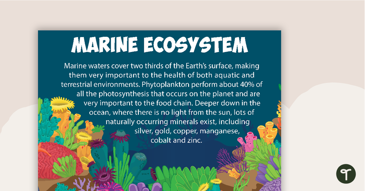 海洋生态系统海报的预览图像 - 教学资源