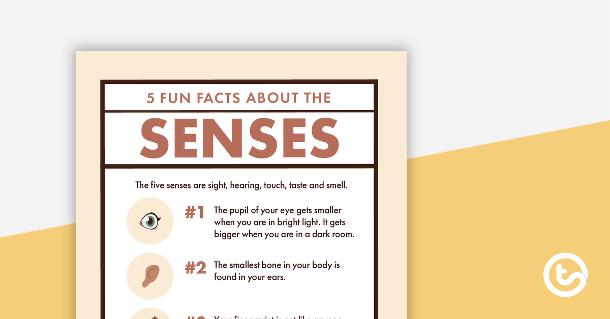 5 Fun Facts About the Senses – Worksheet teaching resource