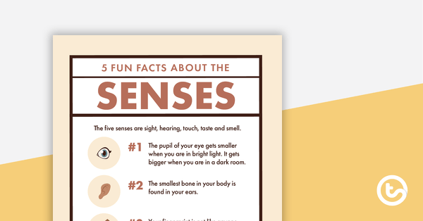 Go to 5 Fun Facts About the Senses – Worksheet teaching resource