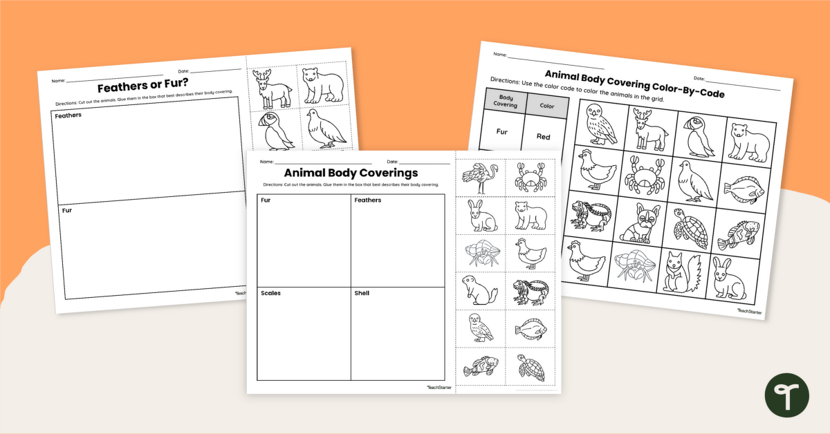 Animals With Scales, Fur, Shells and Feathers Worksheet Pack teaching resource