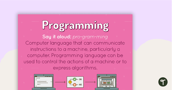 Programming Poster teaching resource