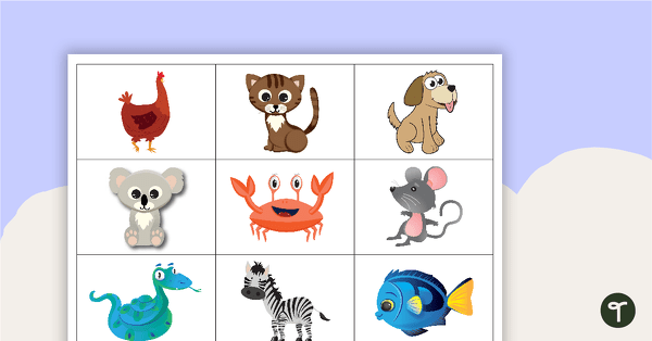 Animal Memory Game teaching resource