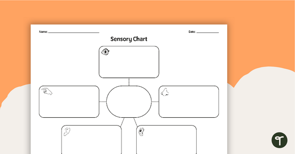Sensory Chart Graphic Organiser teaching resource