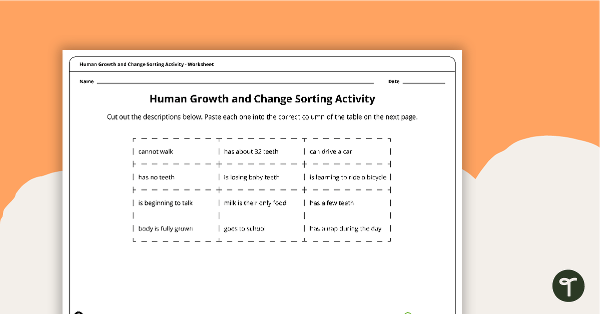 Human Growth and Change Sorting Activity teaching resource