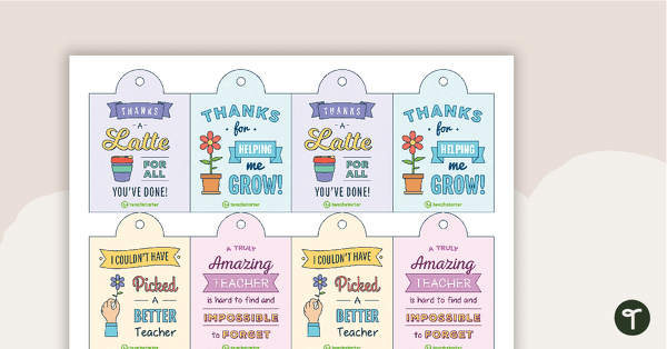 Gift Tags for Teachers teaching resource