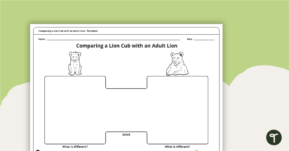 Comparing a Lion Cub with an Adult Lion Template teaching resource