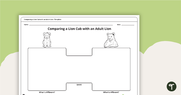 Go to Comparing a Lion Cub with an Adult Lion Template teaching resource