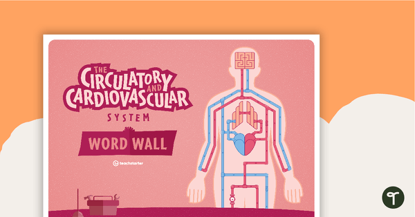 Go to Circulatory and Cardiovascular System Word Wall teaching resource