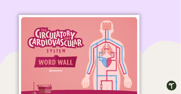 Circulatory and Cardiovascular System Word Wall teaching resource