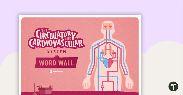 Preview image for Circulatory and Cardiovascular System Word Wall - teaching resource