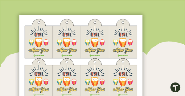 Student Gift Tags - Owl Miss You teaching resource