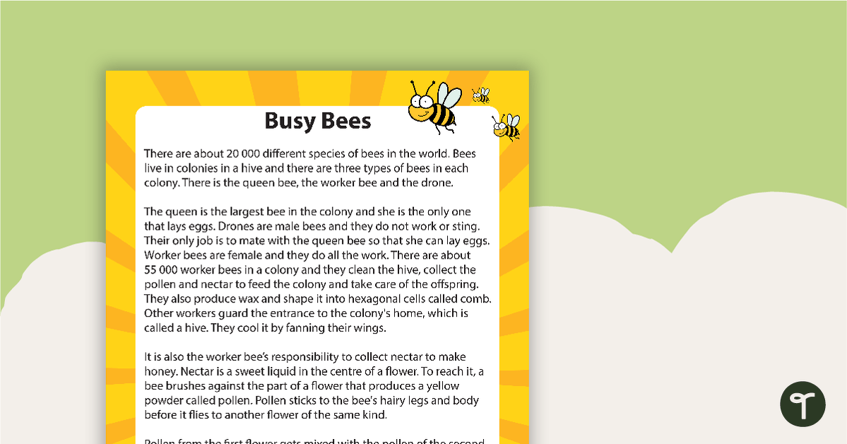 Comprehension - Busy Bees teaching resource