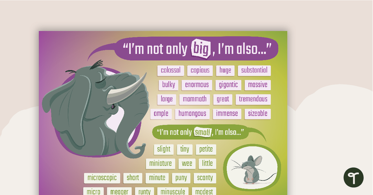 Big and Small Synonyms Poster teaching resource