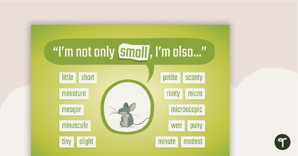 Small Synonyms Poster teaching resource