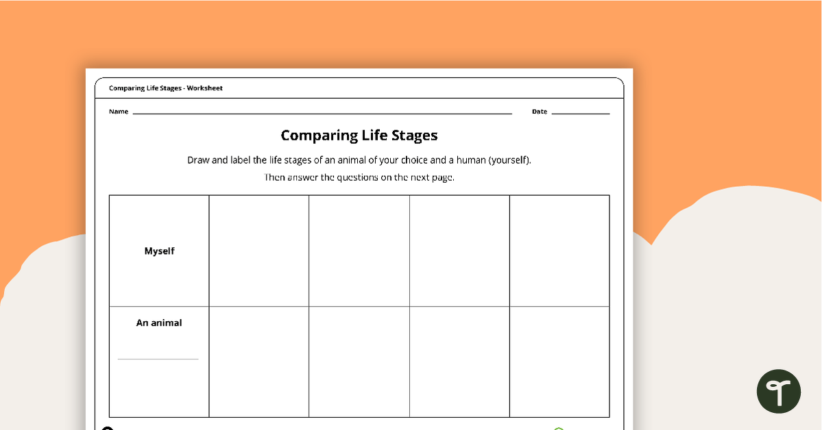 Comparing Life Stages Worksheet teaching resource