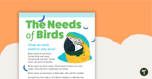 Preview image for The Needs of Birds – Worksheet - teaching resource