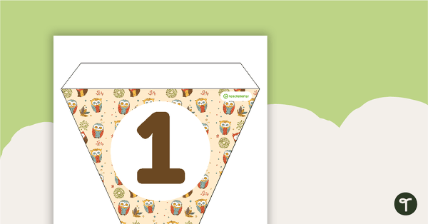 Owls Pattern - Letters and Number Bunting teaching resource