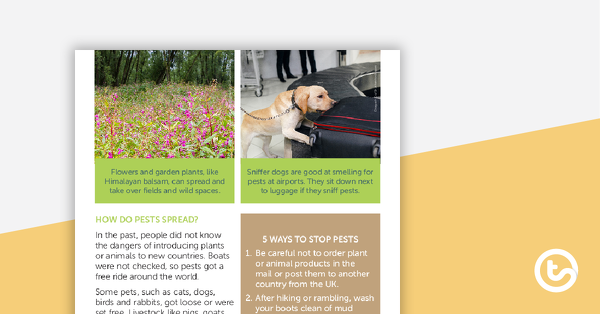 Thumbnail of Earth Watch: Protecting Native Plants and Animals – Comprehension Worksheet - teaching resource