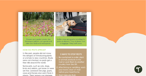 Earth Watch: Protecting Native Plants and Animals – Comprehension Worksheet teaching resource