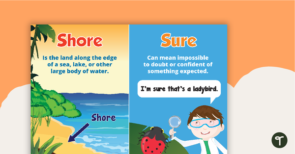 Go to Shore and Sure Homophones Poster Original Design teaching resource
