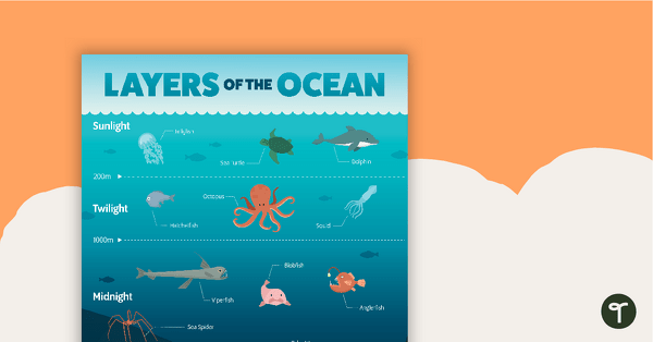 Layers of the Ocean Poster teaching resource