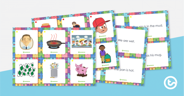 Go to Decodable Text to Picture Match-Up teaching resource