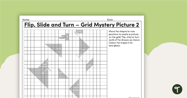 Flip, Slide and Turn – Grid Mystery Pictures teaching resource