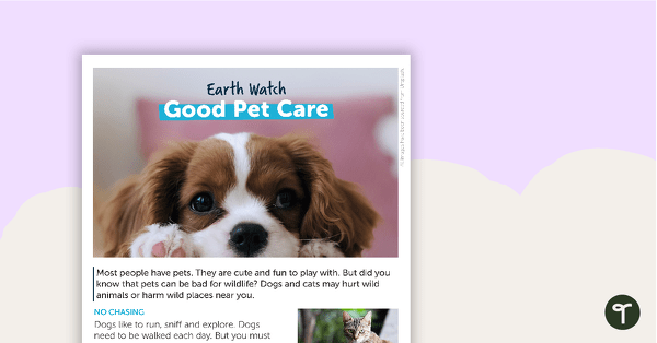 Go to Earth Watch: Good Pet Care – Comprehension Worksheet teaching resource