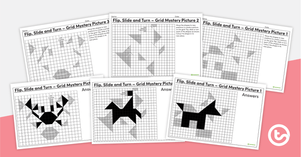 Go to Flip, Slide and Turn – Grid Mystery Pictures teaching resource