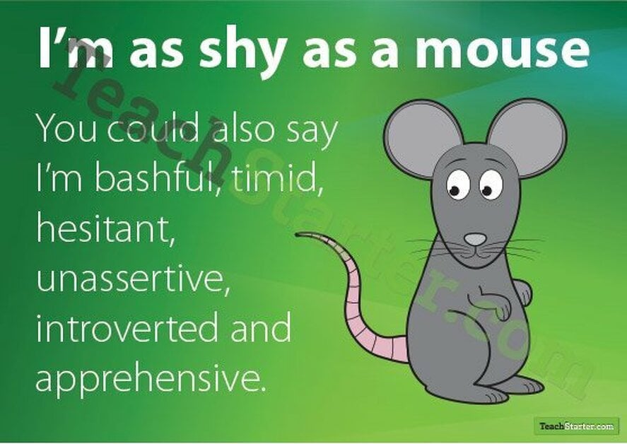 Emotional Vocabulary - Shy Mouse teaching resource