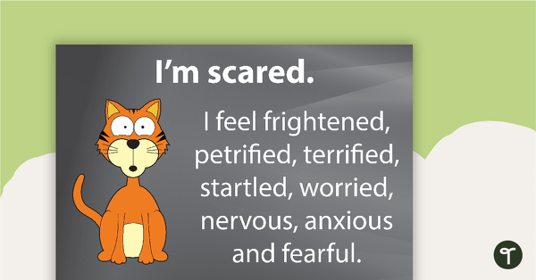 Emotional Vocabulary - Scared Cat teaching resource