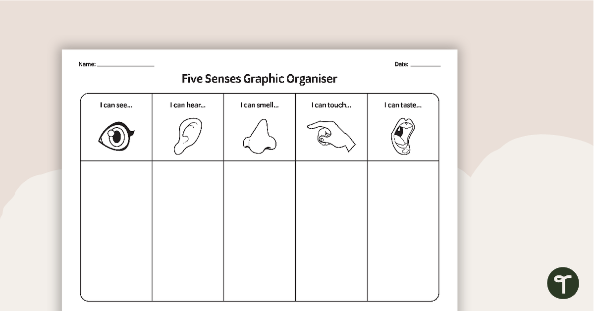 Five Senses Graphic Organiser teaching resource