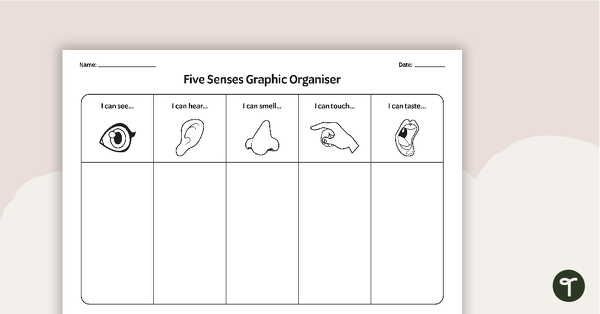 Go to Five Senses Graphic Organiser teaching resource