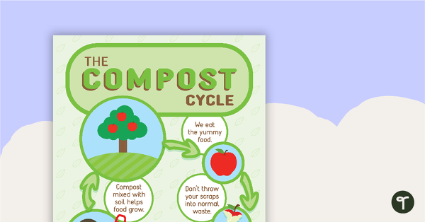 The Compost Cycle Poster teaching resource