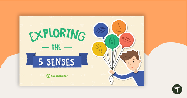 Go to Exploring the 5 Senses PowerPoint teaching resource