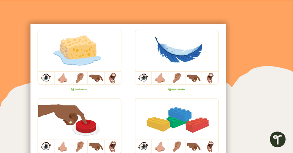Preview image for Sorting Senses Peg Cards - teaching resource