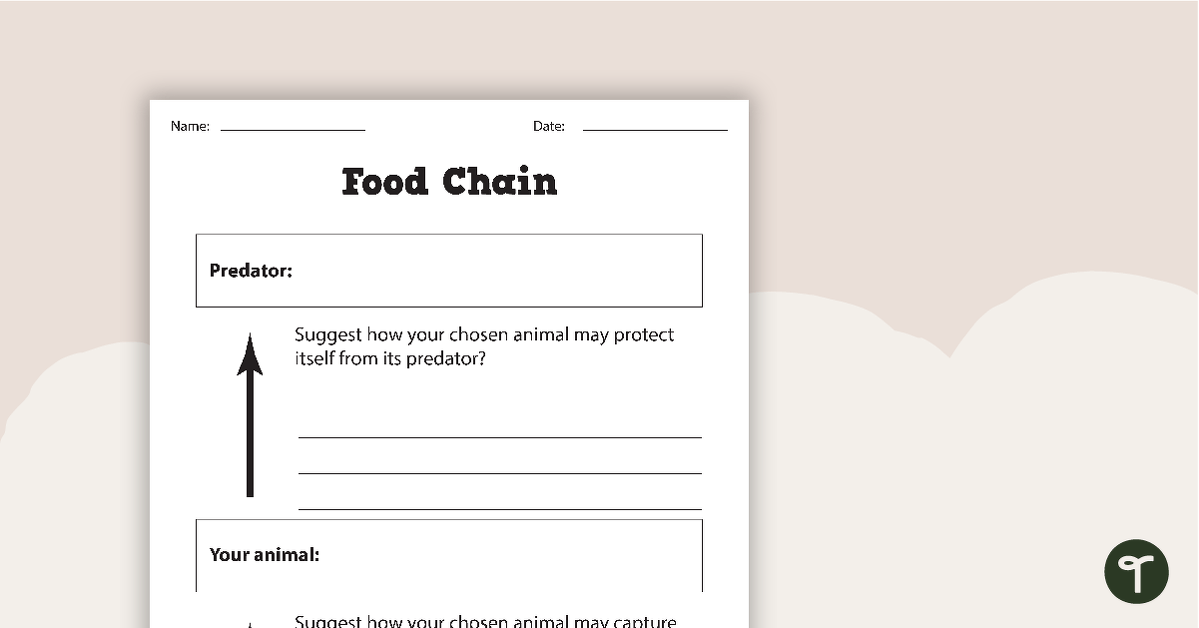 Preview image for Basic Food Chain Worksheet - teaching resource