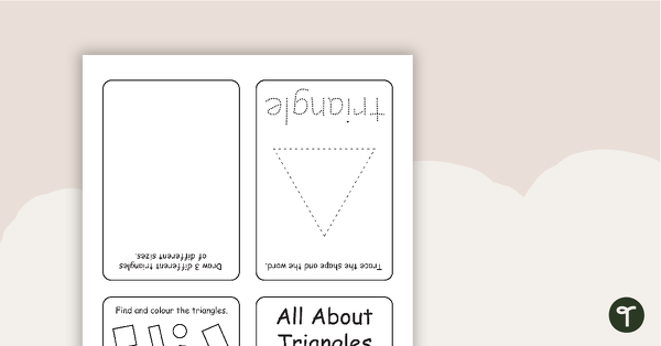 All About Triangles Mini Booklet teaching resource