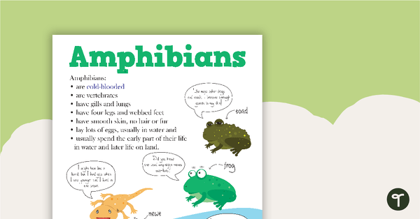 Animal Classifiations Poster – Amphibians teaching resource